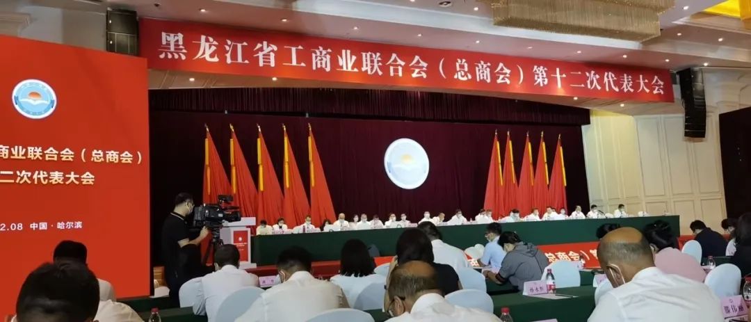 逐梦国际官方网站图片