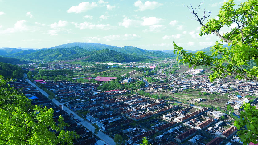 逐梦国际官方网站图片