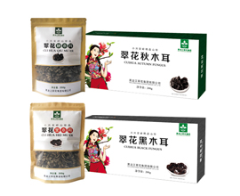 逐梦国际 9d49e