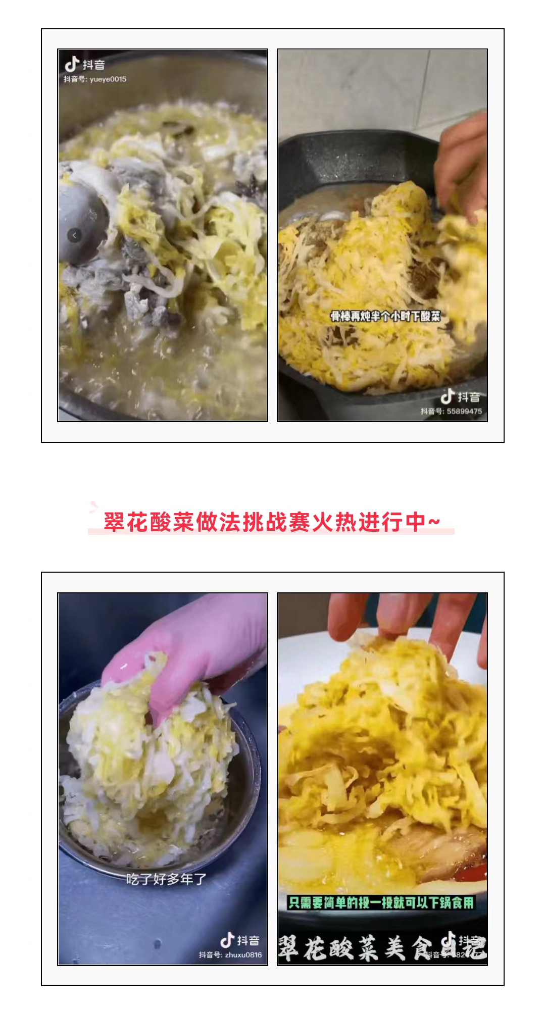 逐梦国际官方网站图片
