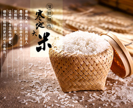 逐梦国际 59ce3