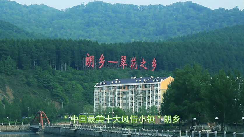逐梦国际官方网站图片