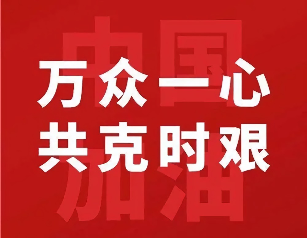 逐梦国际官方网站图片