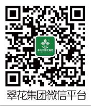 逐梦国际官方网站图片