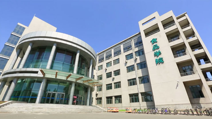 逐梦国际官方网站图片